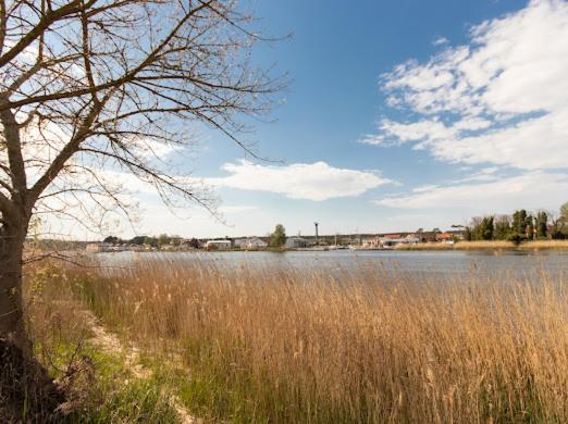 Alexis Apartament Dziwnów Eksteriør billede